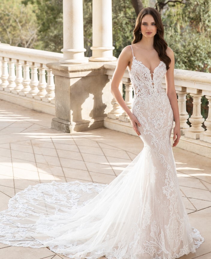 ÉLYSÉE 2022 Trunk Show Main Image