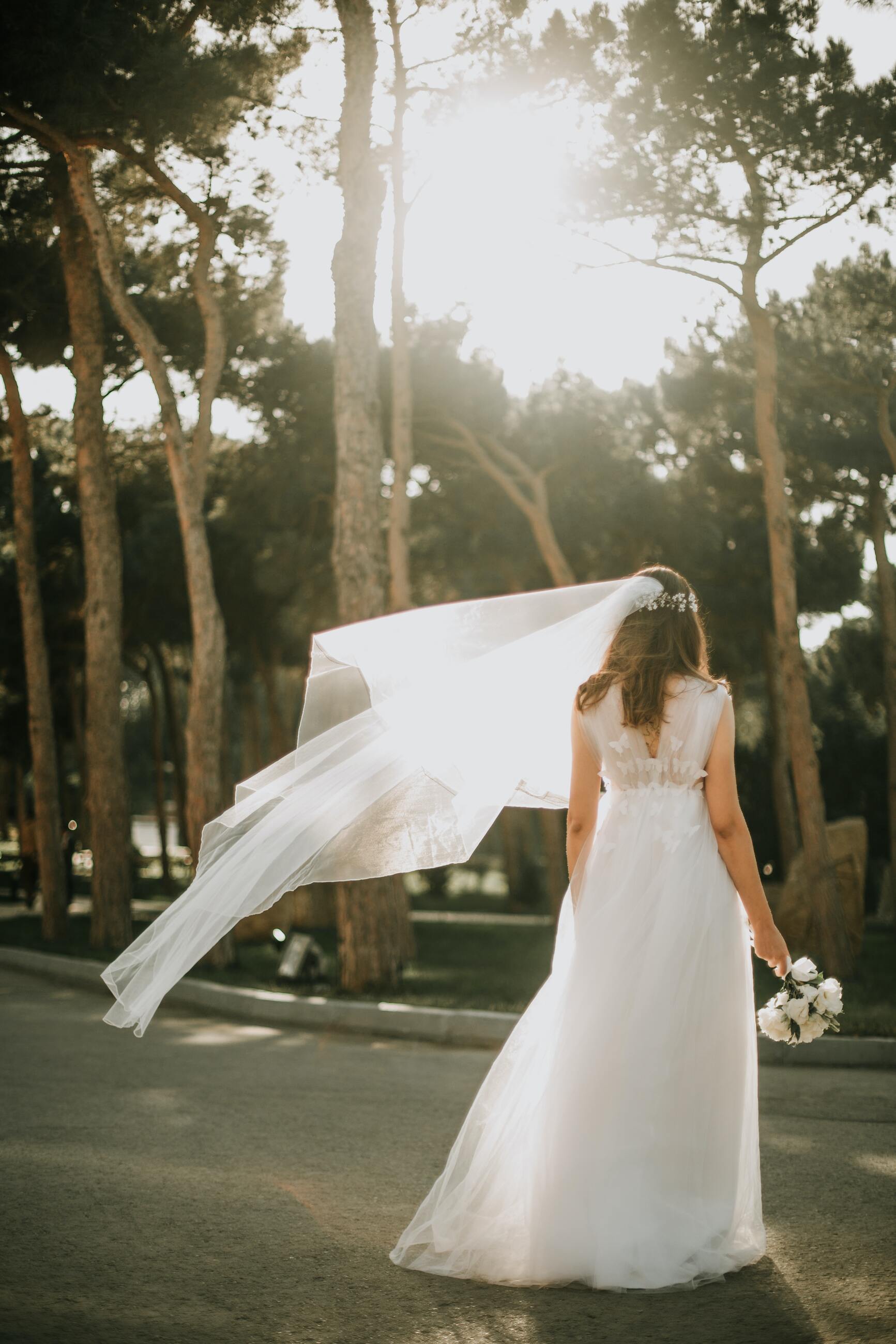 Wedding Dress Journey Image