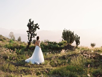 Allure Wilderly Bride F142 Adara #11 thumbnail