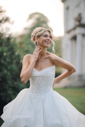 Disney Fairy Tale Weddings D463 Cinderella #6 Ivory/Platinum/Silver thumbnail