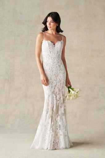 Allure Plus A1472W #3 Ivory thumbnail