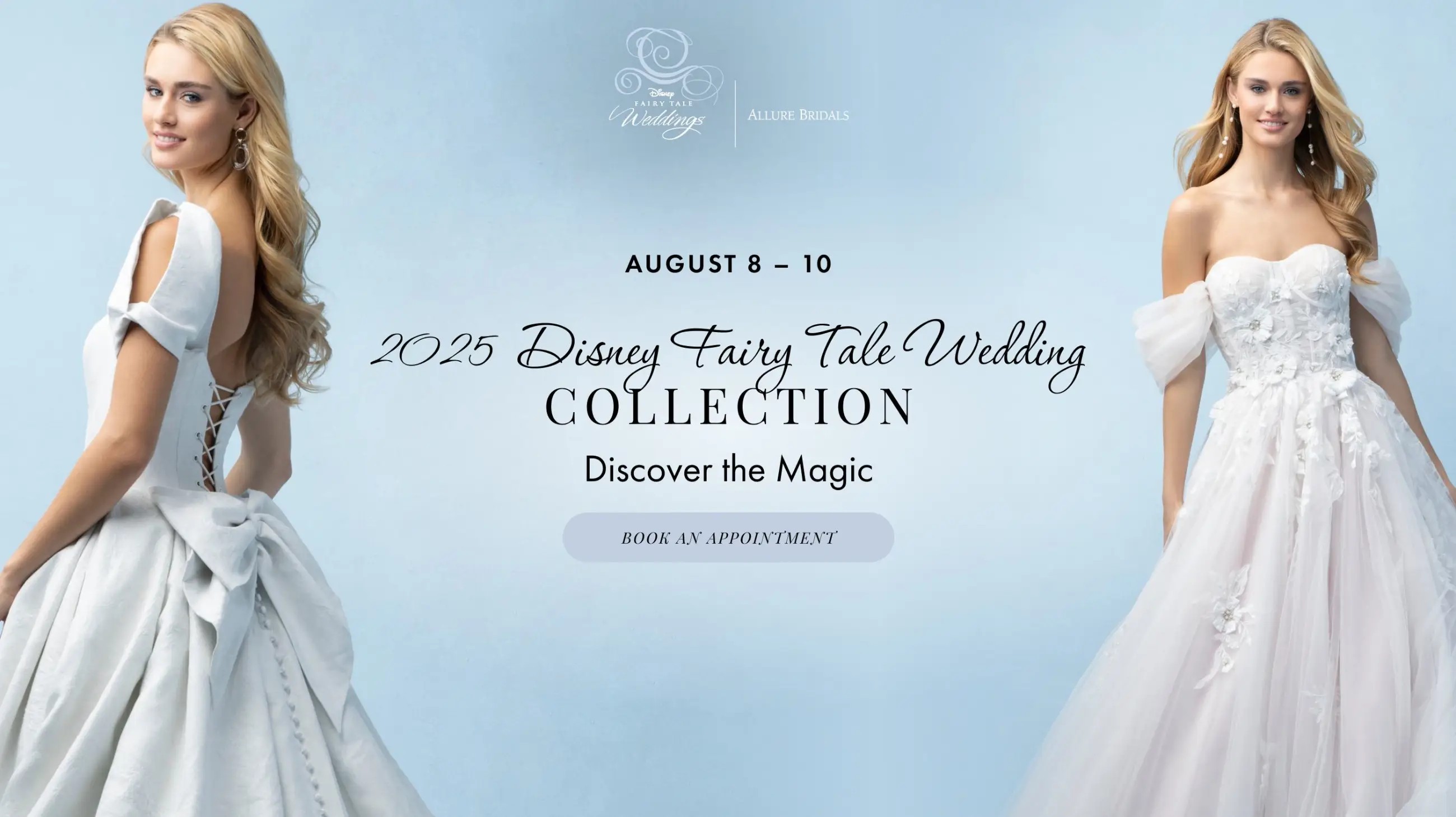 Disney Fairy Tale Wedding Desktop Banner